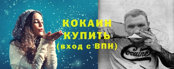 стаф Кулебаки