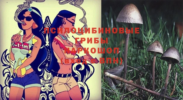 гидропоника Куйбышев
