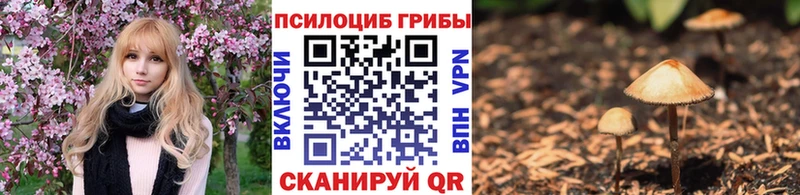 наркотики  Черемхово  Псилоцибиновые грибы Magic Shrooms 