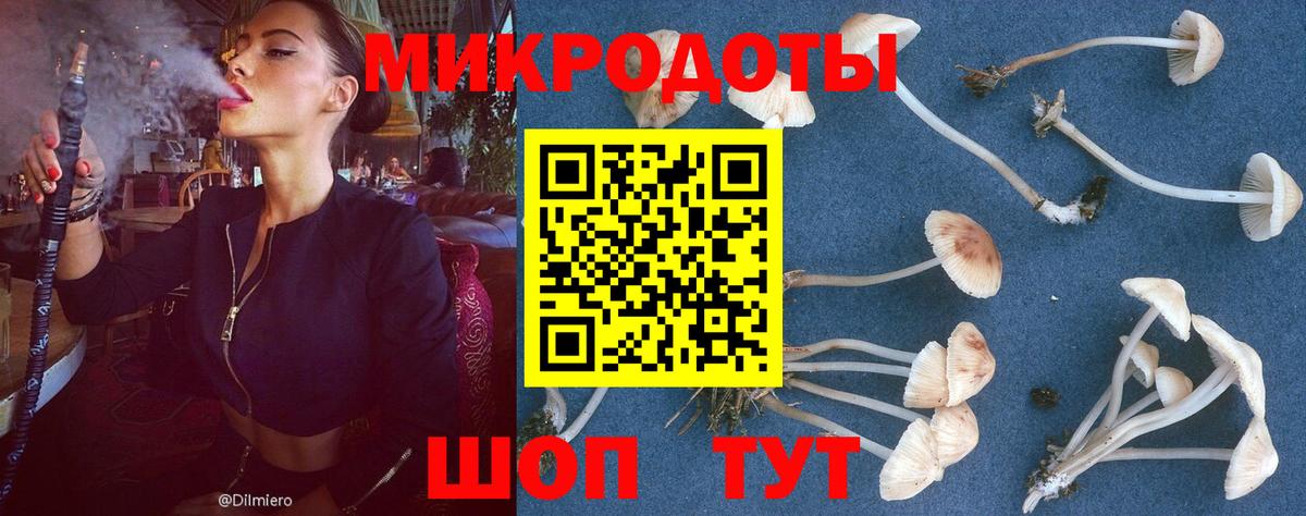 Псилоцибиновые грибы Cubensis Черемхово