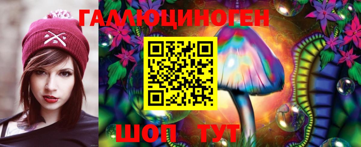 Черемхово  Псилоцибиновые грибы MAGIC MUSHROOMS  Вход с VPN 
